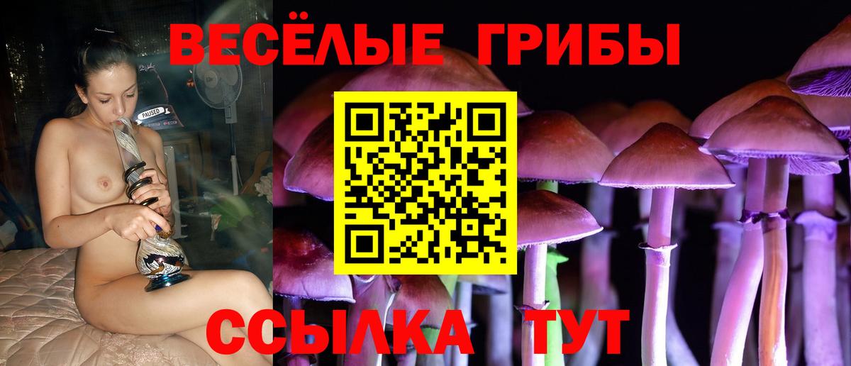 Псилоцибиновые грибы ЛСД Углич