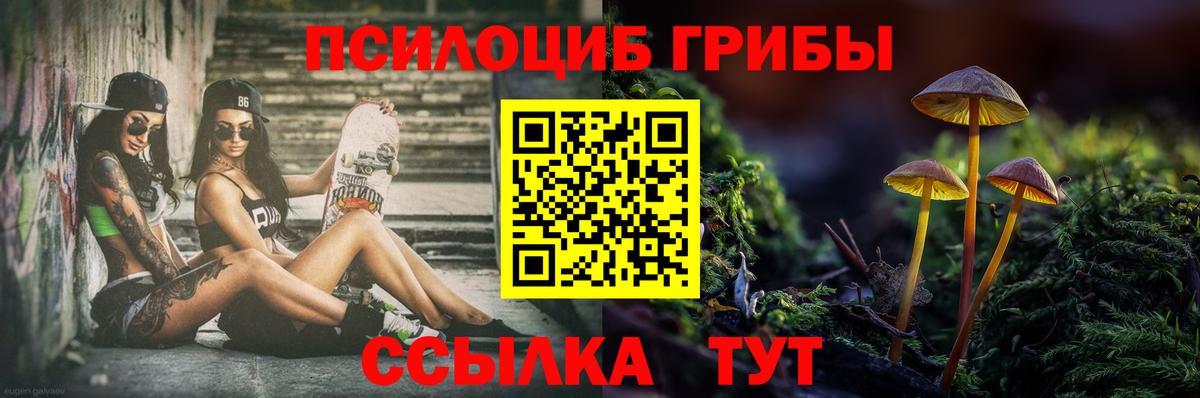 Галлюциногенные грибы Magic Shrooms  Псилоцибиновые грибы прущие грибы  Углич  Вход с VPN 